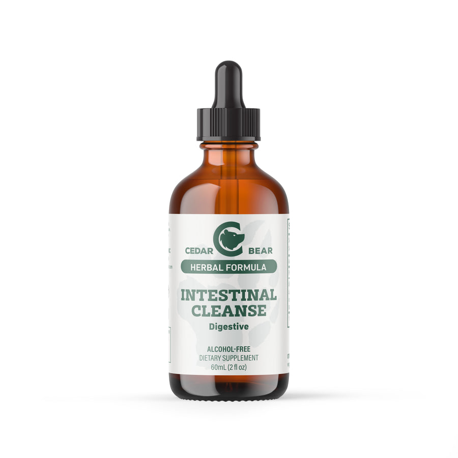 Cedar Bear® Intestinal Cleanse 60ml