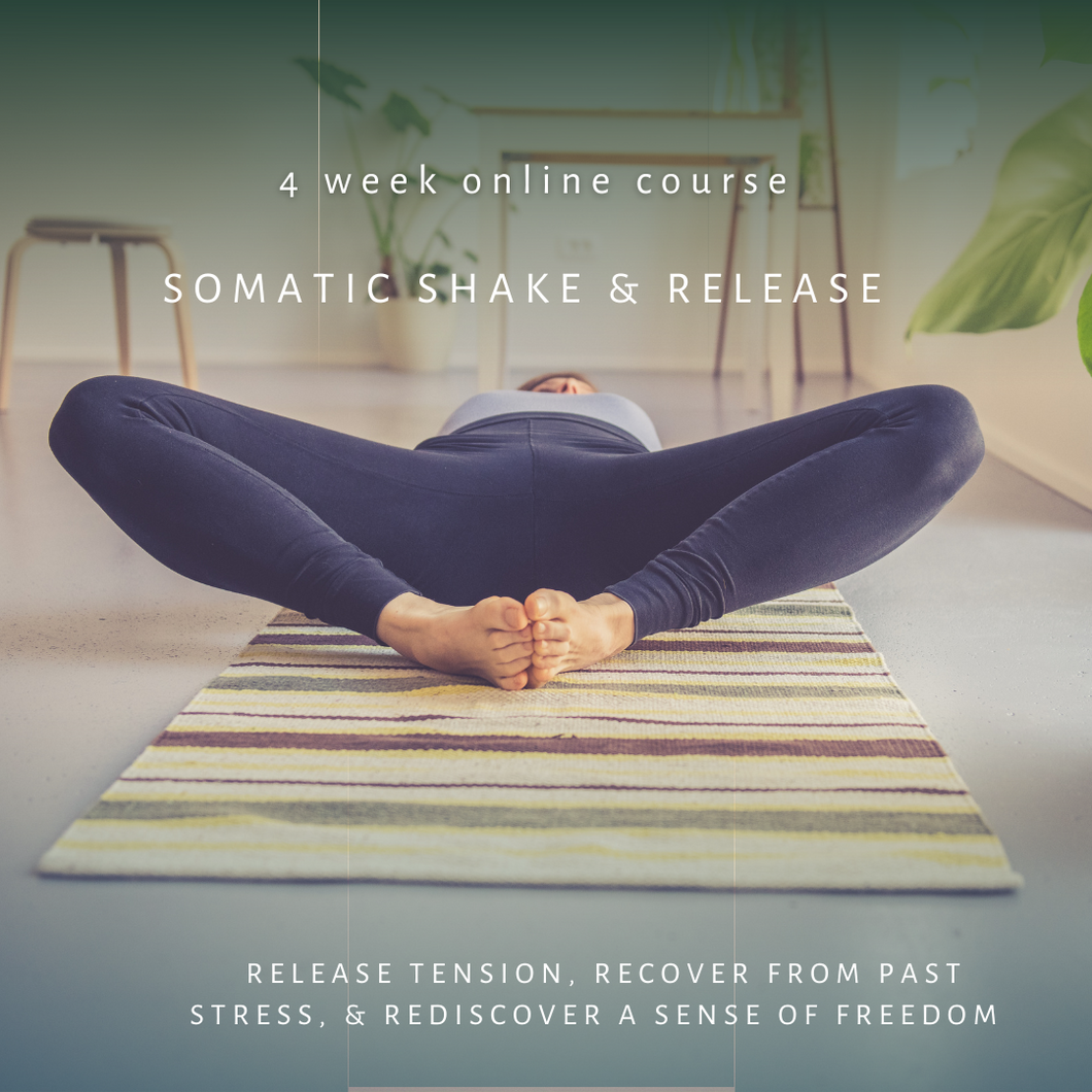 4 Week Online 1:1 Course - Somatic Shake & Release